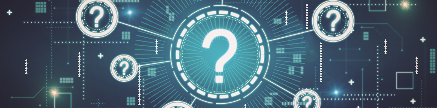 Sarasota Web Site Design and Development